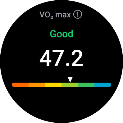 VO2 Max on Galaxy Fit 3